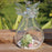 Crofta 3pcs Clear Glass Angle Design Clear Glass Flower Vase Air Plants Hydroponic Pot Tea Light Candle Holder