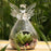 Crofta 3pcs Clear Glass Angle Design Clear Glass Flower Vase Air Plants Hydroponic Pot Tea Light Candle Holder