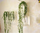 Crofta 3Pieces Cylinder Clear Glass Wall Hanging Vase Bottle for Plant Flower Decor