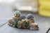 Crofta 10pcs Miniature Dollhouse Bonsai Fairy Garden Landscape Hedgehog Decor