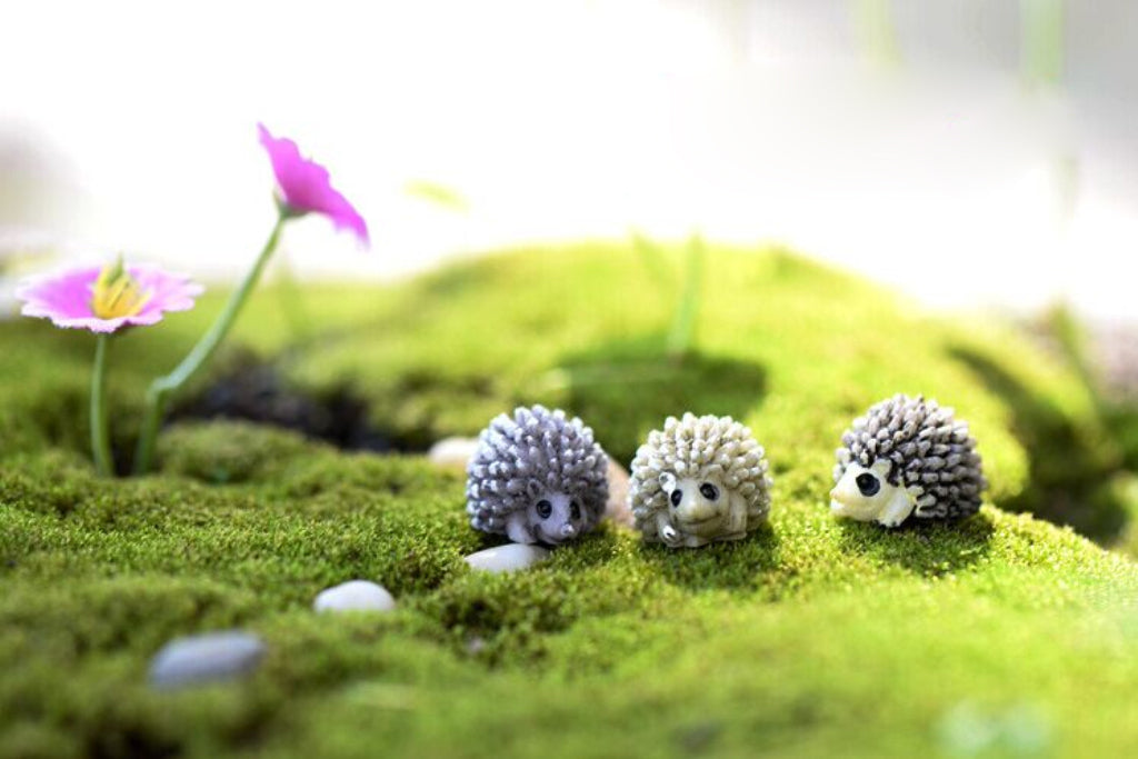 Crofta 10pcs Miniature Dollhouse Bonsai Fairy Garden Landscape Hedgehog Decor