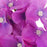 20x Artificial Purple Hydrangea Flowers Home Wedding Silk Flower Head Decor