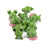 Crofta 10pcs Miniature Dollhouse Bonsai Garden Landscape Little Cartoon Frog Decor