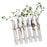 Crofta 6Pieces Creative Glass Test Tubes Hanging Flower Bottle Micro-Landscape Planter Vase Pot