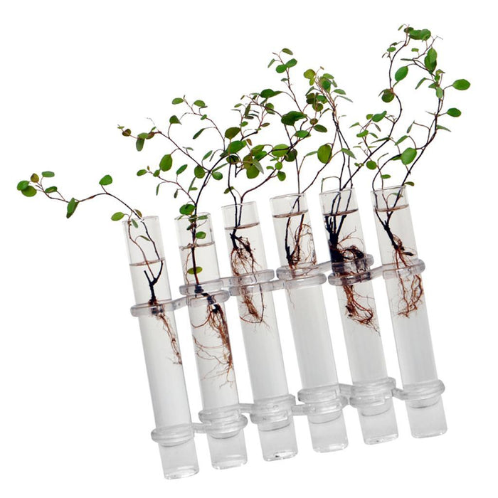 Crofta 6Pieces Creative Glass Test Tubes Hanging Flower Bottle Micro-Landscape Planter Vase Pot