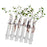 Crofta 6Pieces Creative Glass Test Tubes Hanging Flower Bottle Micro-Landscape Planter Vase Pot