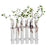 Crofta 6Pieces Creative Glass Test Tubes Hanging Flower Bottle Micro-Landscape Planter Vase Pot