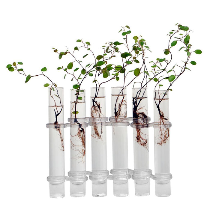 Crofta 6Pieces Creative Glass Test Tubes Hanging Flower Bottle Micro-Landscape Planter Vase Pot