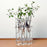 Crofta 6Pieces Creative Glass Test Tubes Hanging Flower Bottle Micro-Landscape Planter Vase Pot