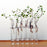 Crofta 6Pieces Creative Glass Test Tubes Hanging Flower Bottle Micro-Landscape Planter Vase Pot