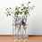 Crofta 6Pieces Creative Glass Test Tubes Hanging Flower Bottle Micro-Landscape Planter Vase Pot