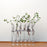 Crofta 6Pieces Creative Glass Test Tubes Hanging Flower Bottle Micro-Landscape Planter Vase Pot