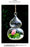 Crofta Calabash Shaped Hanging Glass Flower Vase Bottle Terrarium Container