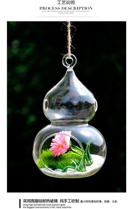 Crofta Calabash Shaped Hanging Glass Flower Vase Bottle Terrarium Container