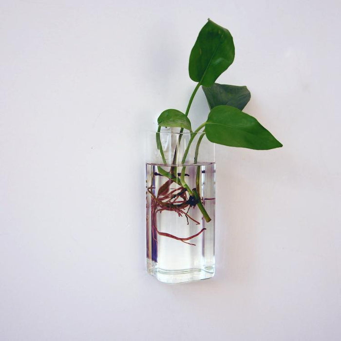 Crofta Rectangle Hanging Glass Flower Vase Bottle Hydroponic Terrarium Container