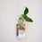 Crofta Rectangle Hanging Glass Flower Vase Bottle Hydroponic Terrarium Container