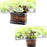 Crofta 2 Pieces Creative Resin Flower Pot Planter Garden Succulent Plant Decor