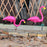 Crofta 2 Piece Looking Up and Down Flamingo Plastic Yard Garden Ornaments Props Pink