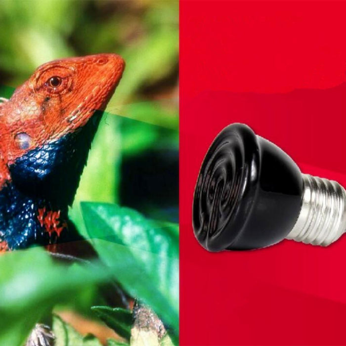 Crofta 100W Mini Infrared Ceramic Emitter Heat Lamp Light Bulb Reptile Pet Brooder+NW-02 Aquarium Reptile Light Base Holder With Clamp Ceramic Heat Lamp Stand