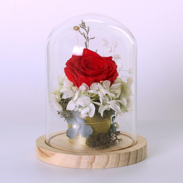 Crofta Pair Glass Cover Landscape Vase Terrarium Round Wood Tray Flower Decor Gift