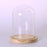 Crofta Pair Glass Cover Landscape Vase Terrarium Round Wood Tray Flower Decor Gift