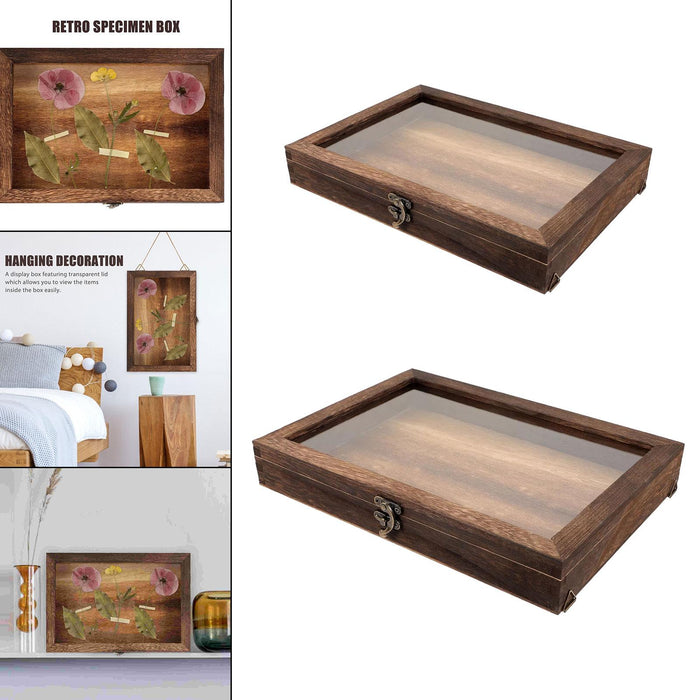 Crofta Wooden Specimens Display Case Shadow Box Table Decoration Jewelry Storage Box 31cmx22cmx4CM