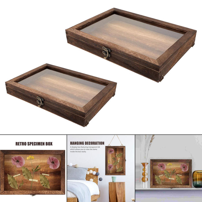 Crofta Wooden Specimens Display Case Shadow Box Table Decoration Jewelry Storage Box 31cmx22cmx4CM