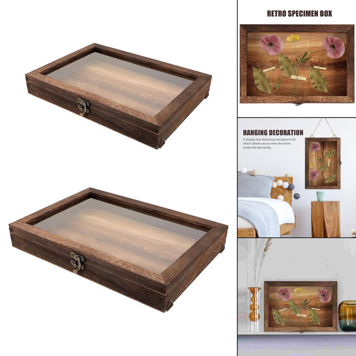 Crofta Wooden Specimens Display Case Shadow Box Table Decoration Jewelry Storage Box 31cmx22cmx4CM