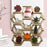 Crofta Honeycomb Shelf Convenient Creative Plant Rack for Miscellaneous Items Dolls 36cmx30cmx10cm