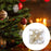 Crofta 16 Pieces Christmas Hanging Decorations Indoor for Farmhouse Bedroom Holiday Champagne