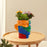 Crofta Painted Face Planter Decorative Creative Flowerpot for Office Garden Bedroom