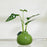 Crofta Flower Vase Orange Shape Desktop Ornament Bud Vase for Entryway Office Shelf Green