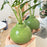 Crofta Flower Vase Orange Shape Desktop Ornament Bud Vase for Entryway Office Shelf Green