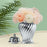 Crofta Ceramic Flower Vase Ceramic Ginger Jar with Lid for Bookshelf Party Entrance Silvery