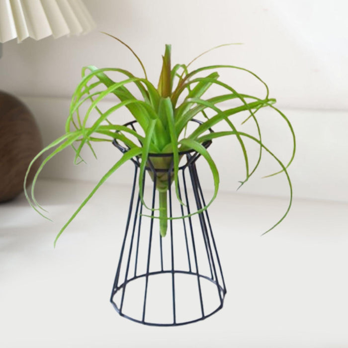 Crofta Air Plant Holder Wedding Flower Stand for Engagement Anniversary Celebration Black