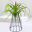 Crofta Air Plant Holder Wedding Flower Stand for Engagement Anniversary Celebration Black