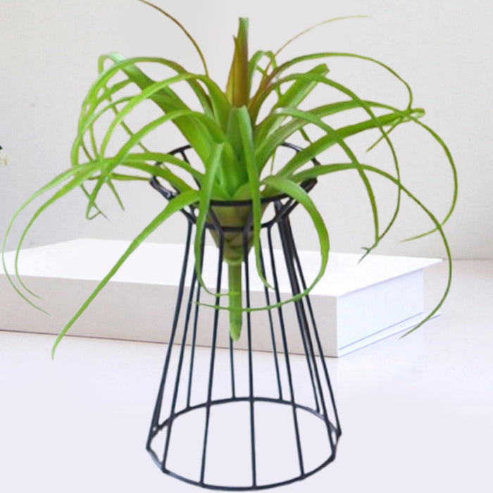 Crofta Air Plant Holder Wedding Flower Stand for Engagement Anniversary Celebration Black