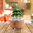 Crofta Christmas Tree Humidifier Christmas Gift 250 ml for Bedroom Living Room Home Brown