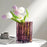 Crofta Hydroponic Vase Plant Pot Storage Decorative Vase Bud Vase Glass Flower Vase Purple