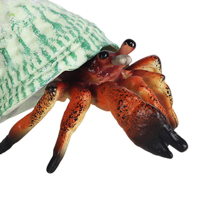 Crofta Realistic Marine Animals Hermit Crab Statues Playset Collection Kids Toy brown