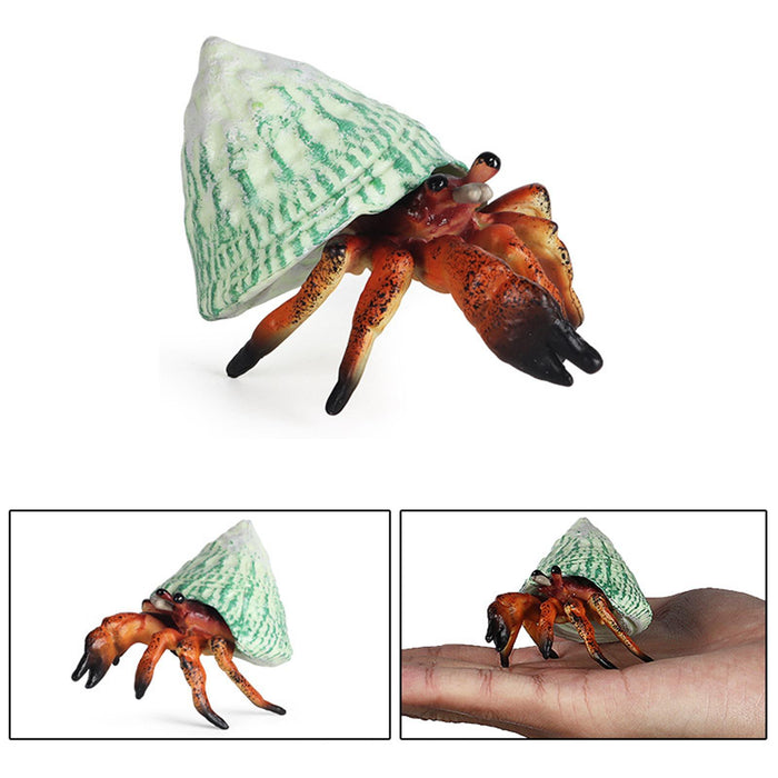 Crofta Realistic Marine Animals Hermit Crab Statues Playset Collection Kids Toy brown