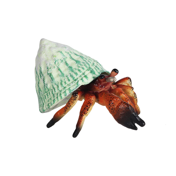 Crofta Realistic Marine Animals Hermit Crab Statues Playset Collection Kids Toy brown