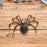 Crofta 3D Spider Model Kit Creative Hand Assembled Model for Office Bar Collections