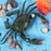 Crofta Animal Figurine Fun Marine Animal Play Toy for Home Decorate Car Living Room lage crabs