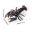 Crofta Animal Figurine Fun Marine Animal Play Toy for Home Decorate Car Living Room lobster