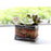 Crofta 2 Pieces Creative Resin Flower Pot Planter Garden Succulent Plant Decor