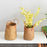 Crofta Woven Plant Basket Organizer Rustic Planter Basket for Office Bedroom Picnic Diameter 16cm