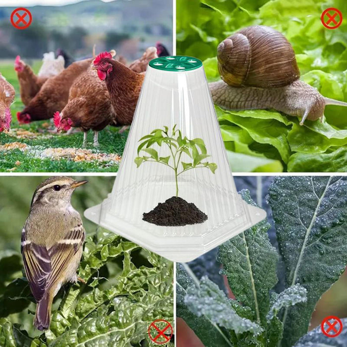 Crofta 12x Plant Bell Covers Winter Vegetable Greenhouse from Animal Garden Cloches Clear with Lids