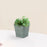 Crofta Iron Sculpture Indoor Plants Decorative Flower Pot for Office Desktop Garden Square Blue