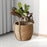 Crofta Woven Planter Basket Ornament Plant Container for Office Yard Indoor Outdoor 25cmx25cmx23cm